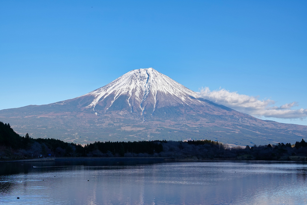 富士山(田貫湖)