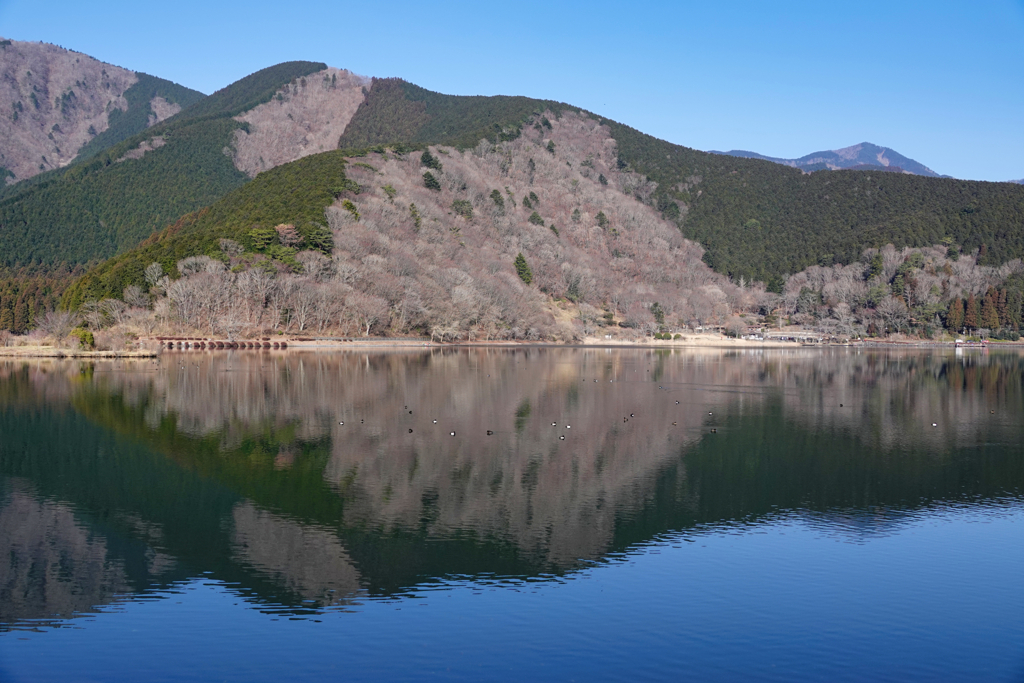 朝の田貫湖