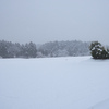 雪一面の田んぼ