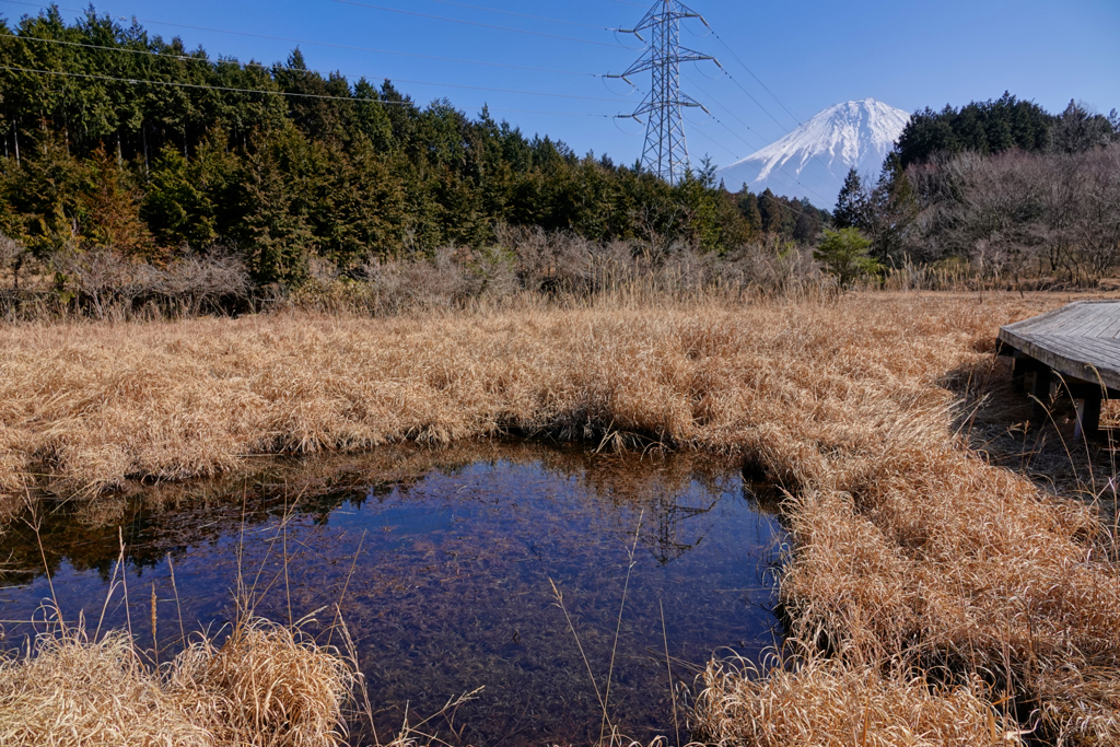 池塘