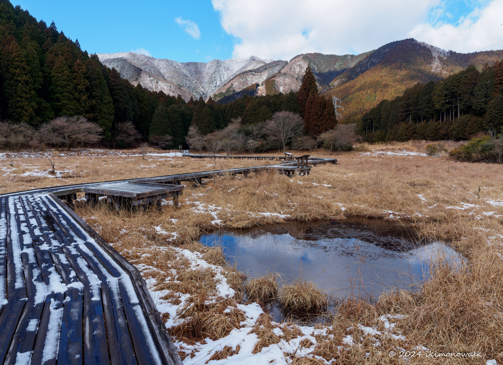 湿原