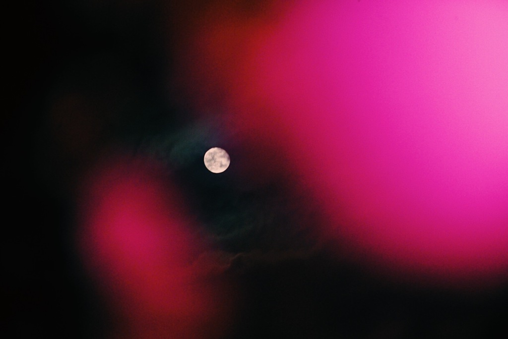 夜梅