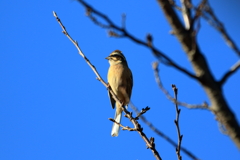 イケメンさん。