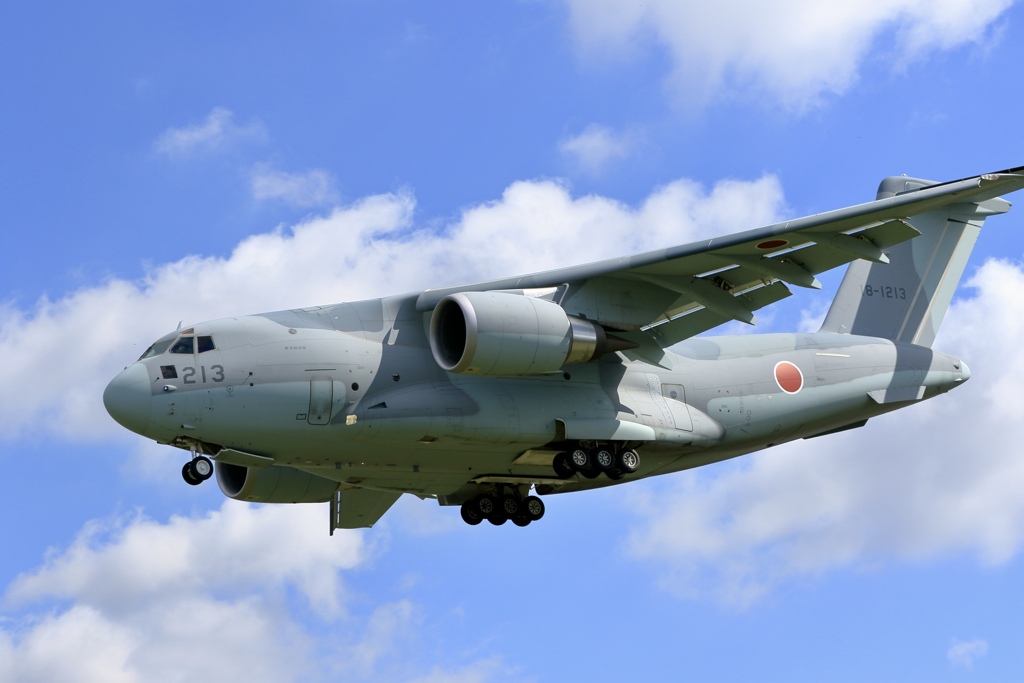 ブルーホエール✈︎