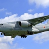 ブルーホエール✈︎