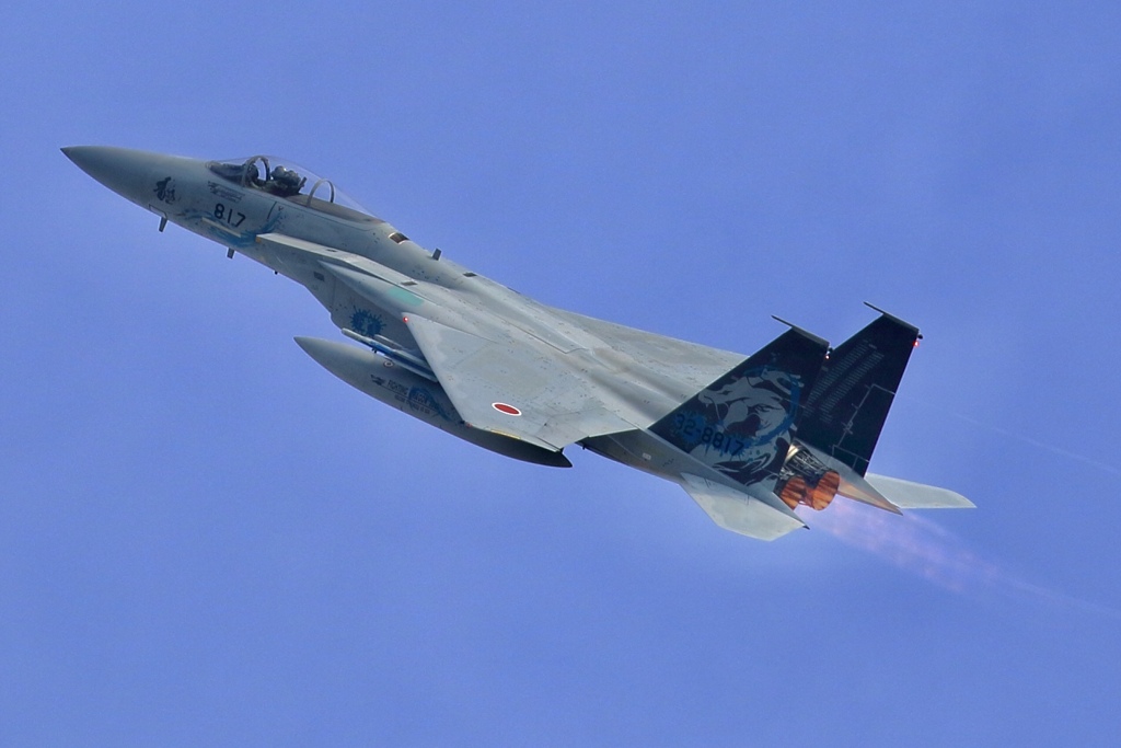 303飛行隊記念塗装機✈︎