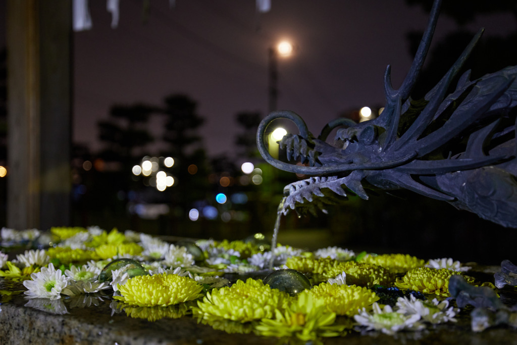 朧月夜の花手水