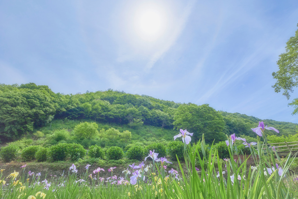 幻想の平家谷