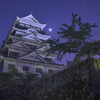 明けの新生福山城