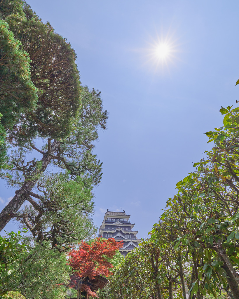 新生福山城、燦々