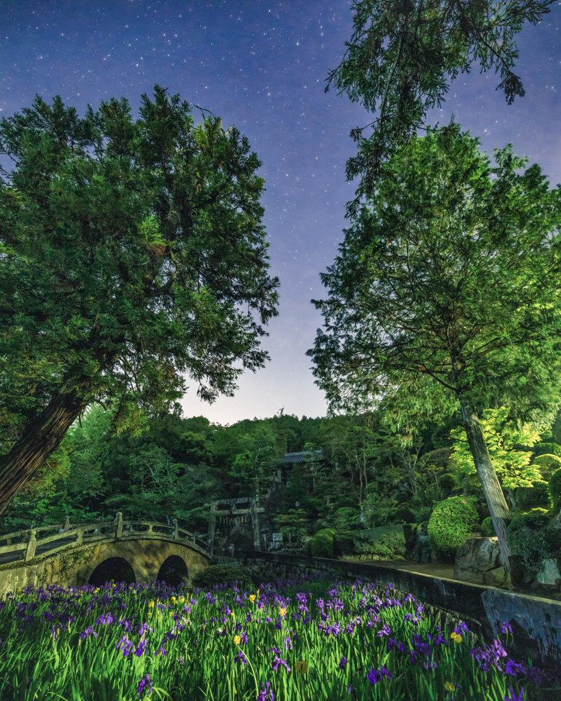 菅原神社の幻想