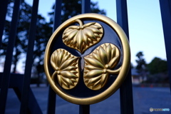 上野寛永寺