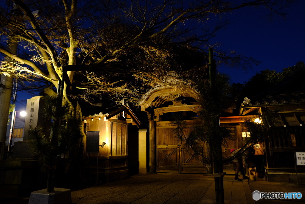 上野散歩〜護国山天王寺