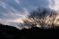 里山の夕暮れ