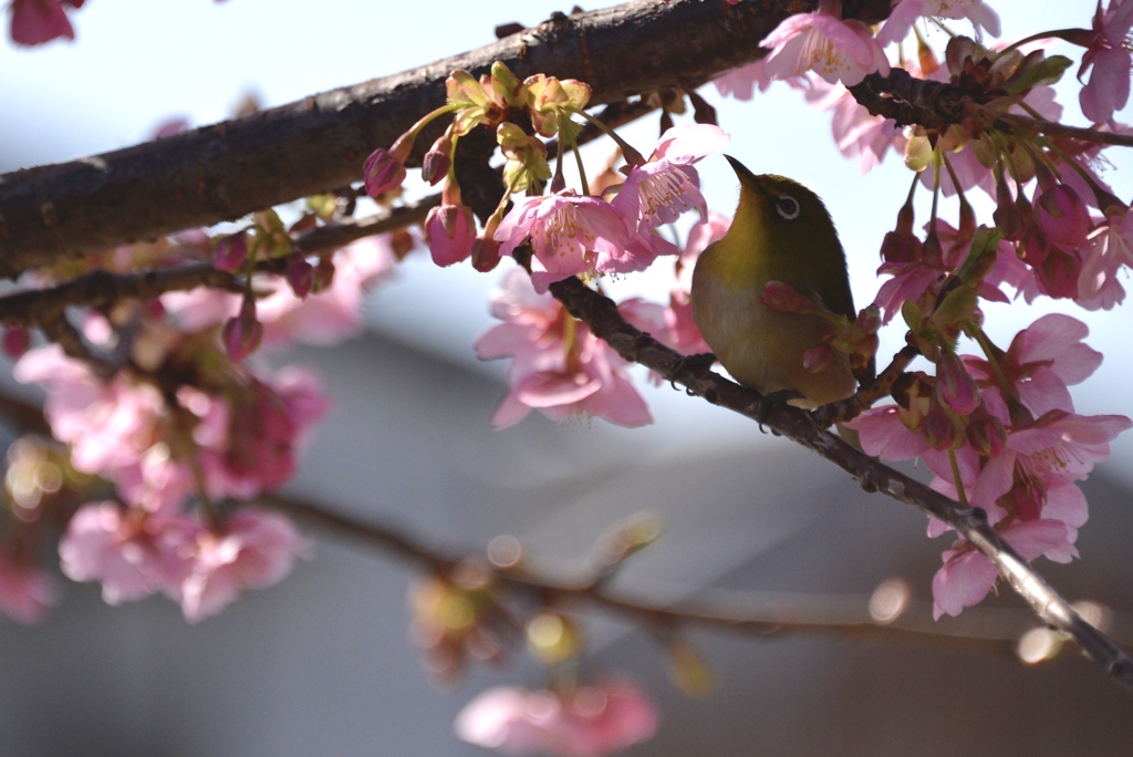 お花に囲まれて