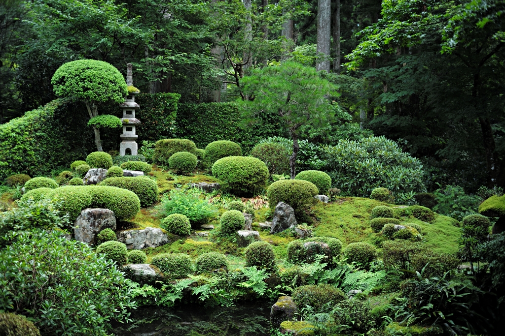 日本庭園〜三千院①