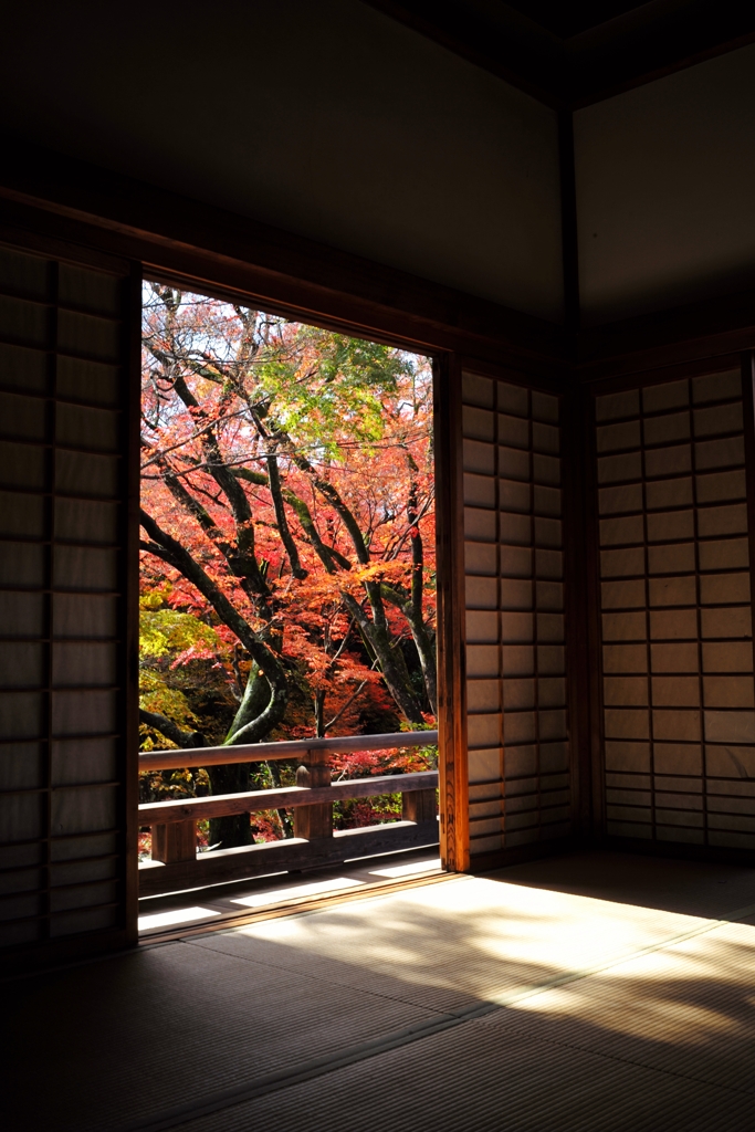 2021年の紅葉〜宝筺院