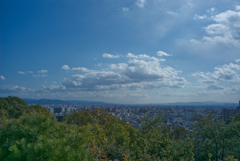 船岡山からの眺望