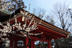 春の訪れ〜北野天満宮