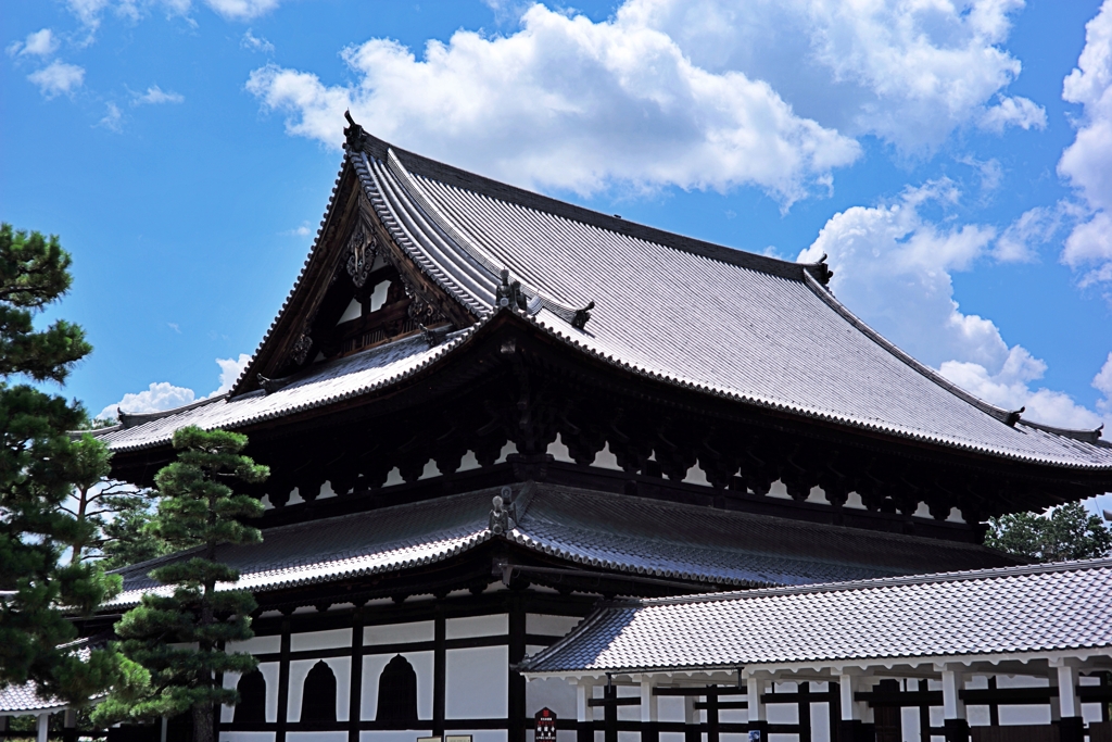 夏の日差し〜相国寺法堂