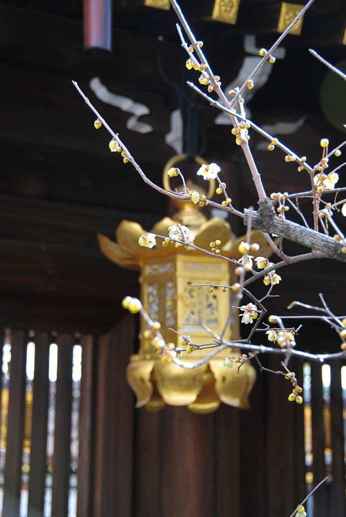 春の気配①〜北野天満宮