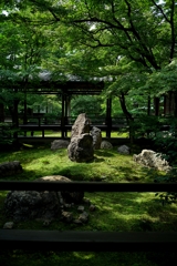 日本庭園〜潮音庭