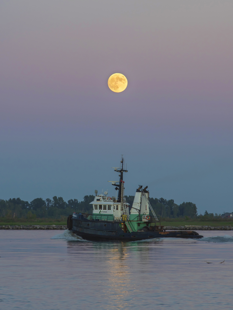 ６月の満月 Strawberry full moon