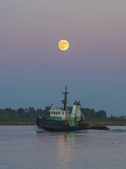 ６月の満月 Strawberry full moon