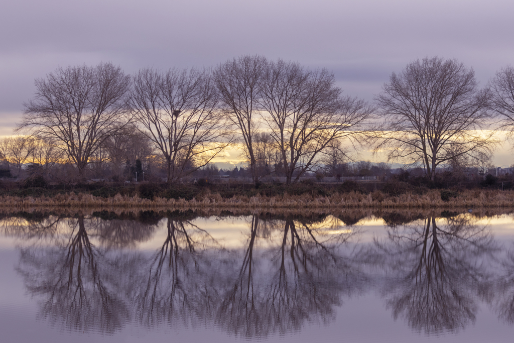 Reflection