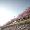 乙川河川敷
