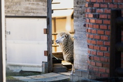 出ようか帰ろうか