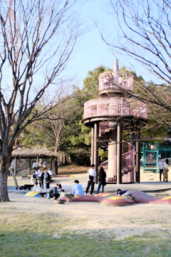 休日の公園