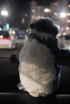 ドライブペンギン