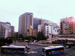 歩道橋から