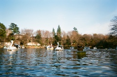 lake