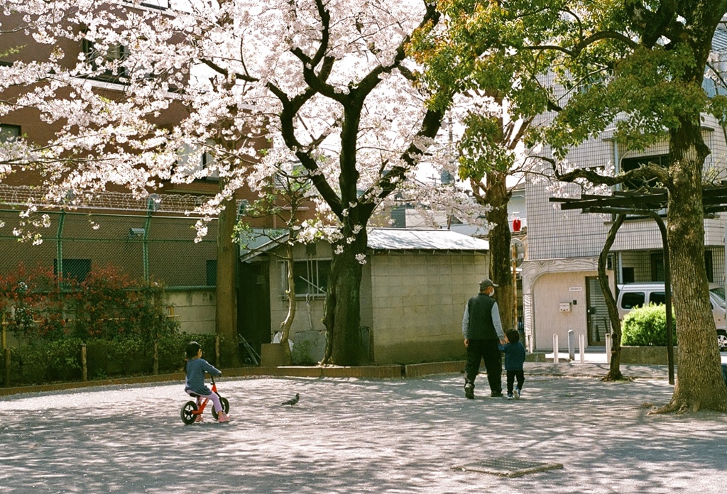 帰宅