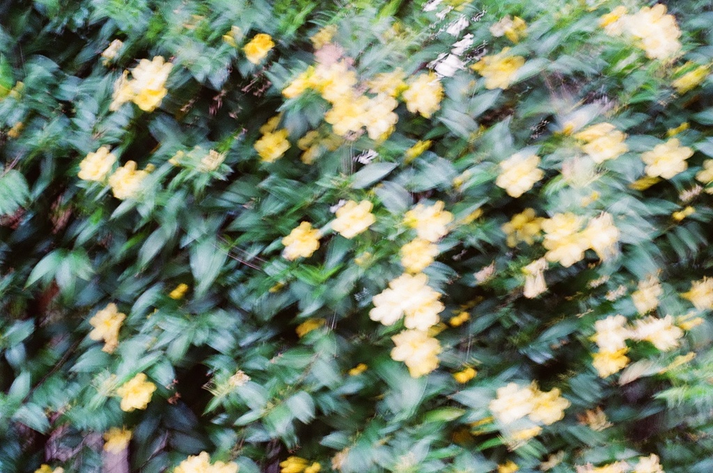 ぶれる