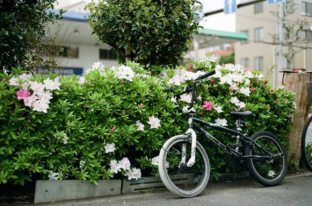 自転車