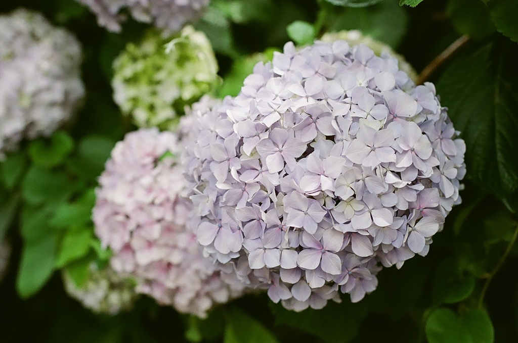 May
