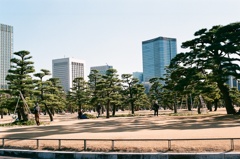 Imperial Palace 皇居