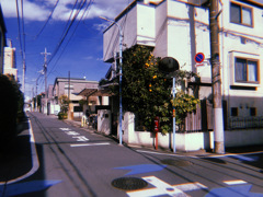 夏、冬
