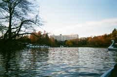lake
