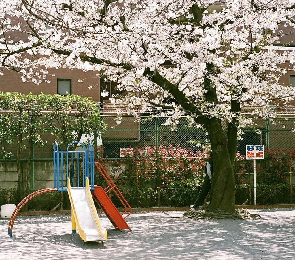孫とかくれんぼ