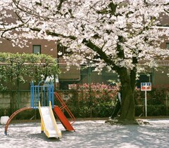 孫とかくれんぼ