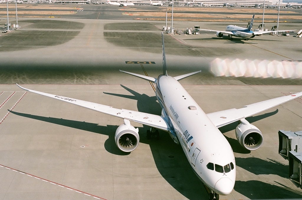 飛行機