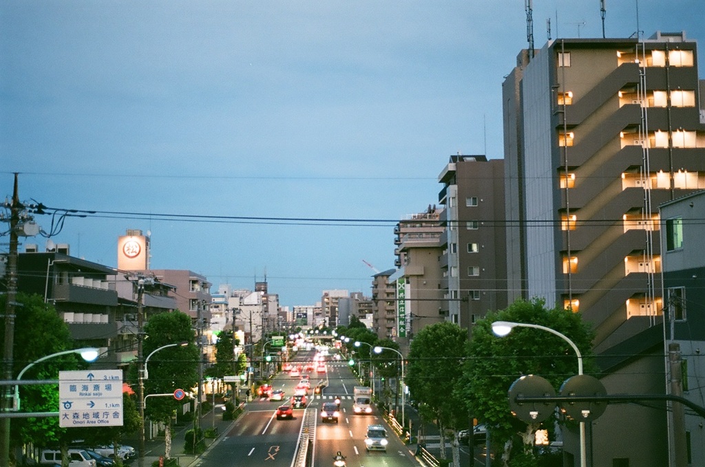 歩道橋から