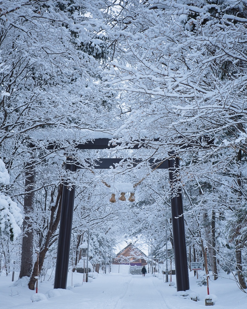 士別神社「冬」