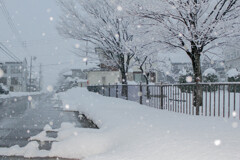 雪景色