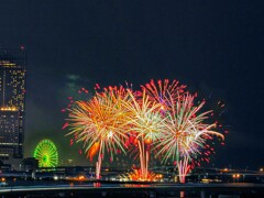 夏の想いで　泉州夢花火 