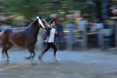 秋祭り　３